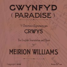 Meirion Williams - Gwynfyd RED square copy